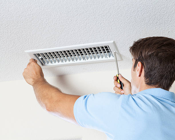Best Basement Mold Removal  in Pensacola Station, FL